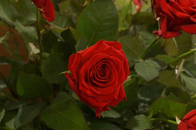 Святочная Св. Імша на Вялікдзень (фотарэпартаж)