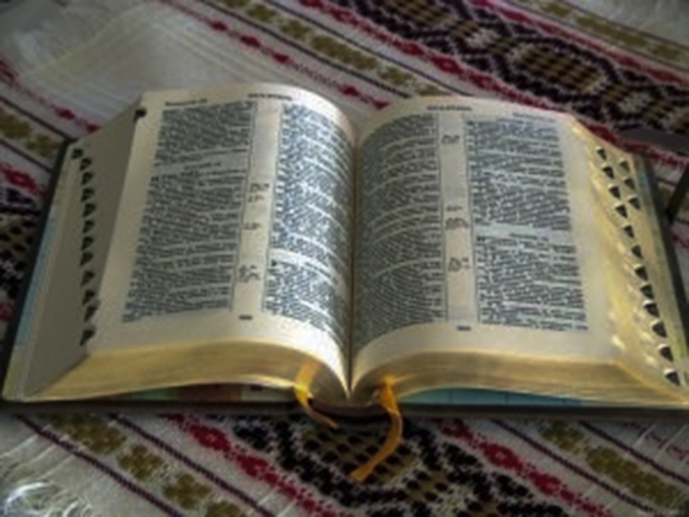 Разважанні ад айцоў марыянаў на штодзень